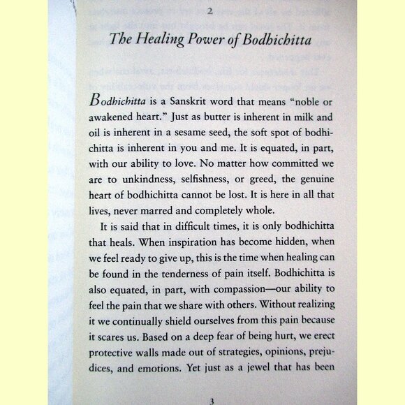 Book - Comfortable with Uncertainty: Teachings on Cultivating Fearlessness - Picture 5 of 15